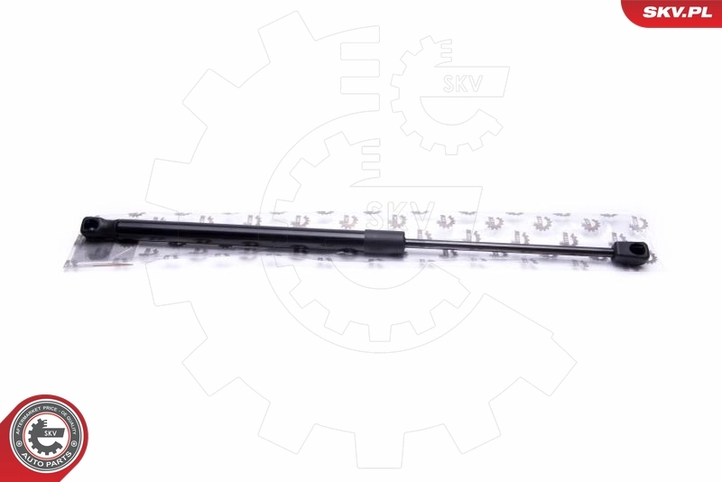 Gas Spring, bonnet